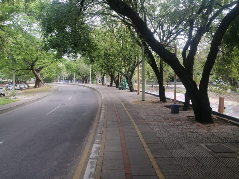 Imagen de WhatsApp 2023-12-11 a las 07.37.25_5f345735