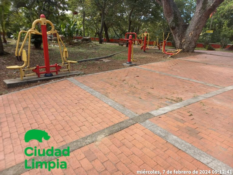 Imagen de WhatsApp 2024-02-12 a las 10.13.02_7b17d49d