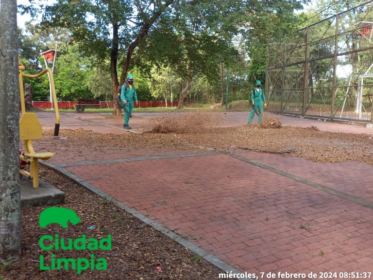 Imagen de WhatsApp 2024-02-12 a las 10.13.02_b1382807