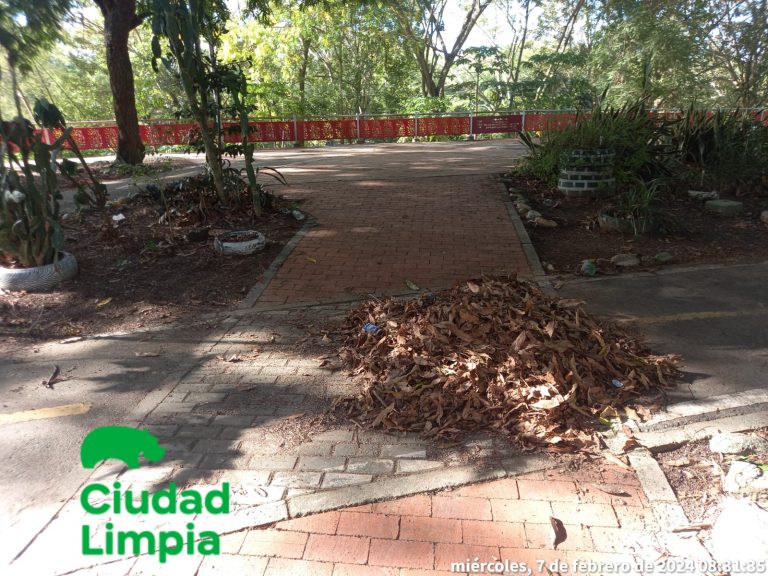 Imagen de WhatsApp 2024-02-12 a las 10.13.03_b91d1204