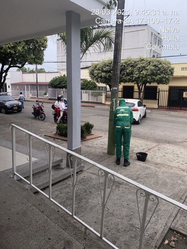 Imagen de WhatsApp 2024-04-01 a las 06.19.15_a3bffe7a