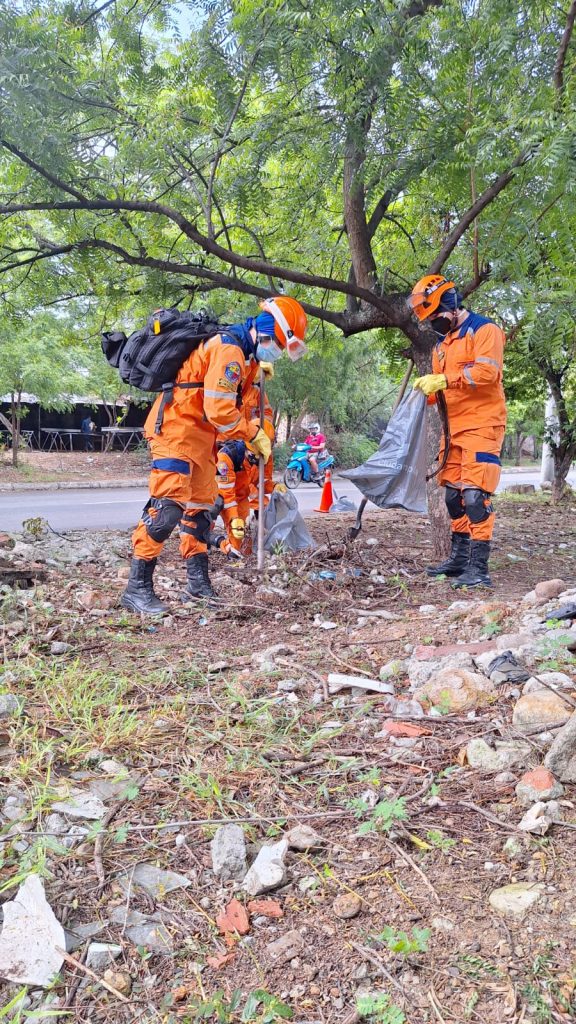 Imagen de WhatsApp 2024-05-15 a las 11.20.17_4b7e5905