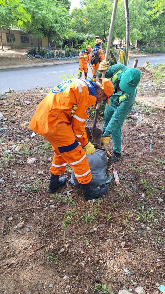 Imagen de WhatsApp 2024-05-15 a las 11.20.19_8519719e