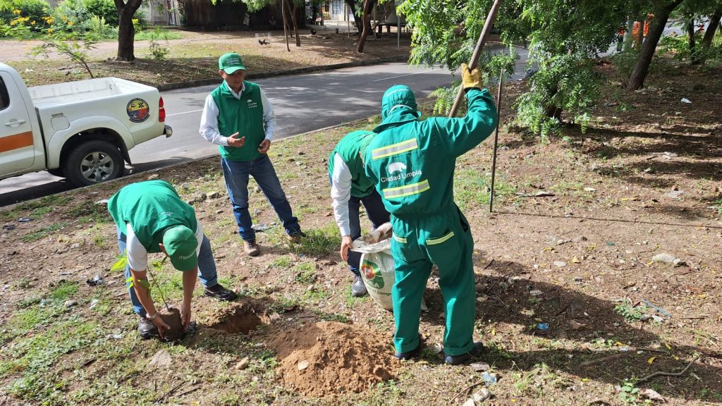 Imagen de WhatsApp 2024-05-15 a las 11.20.19_c818fd56