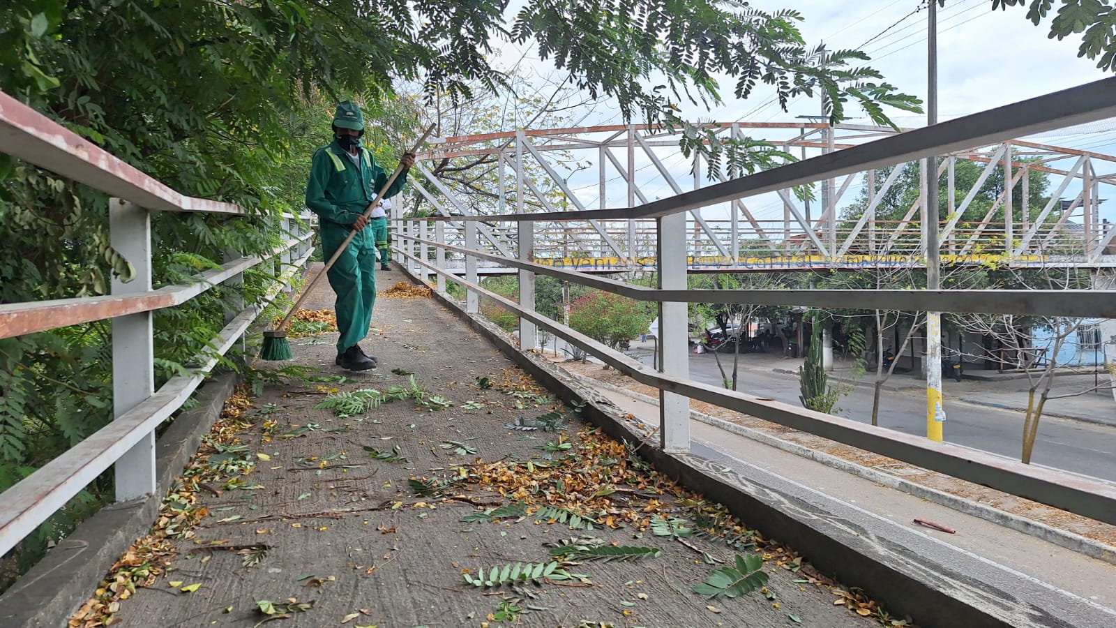 Imagen de WhatsApp 2024-07-31 a las 13.50.30_cdd5b4ba