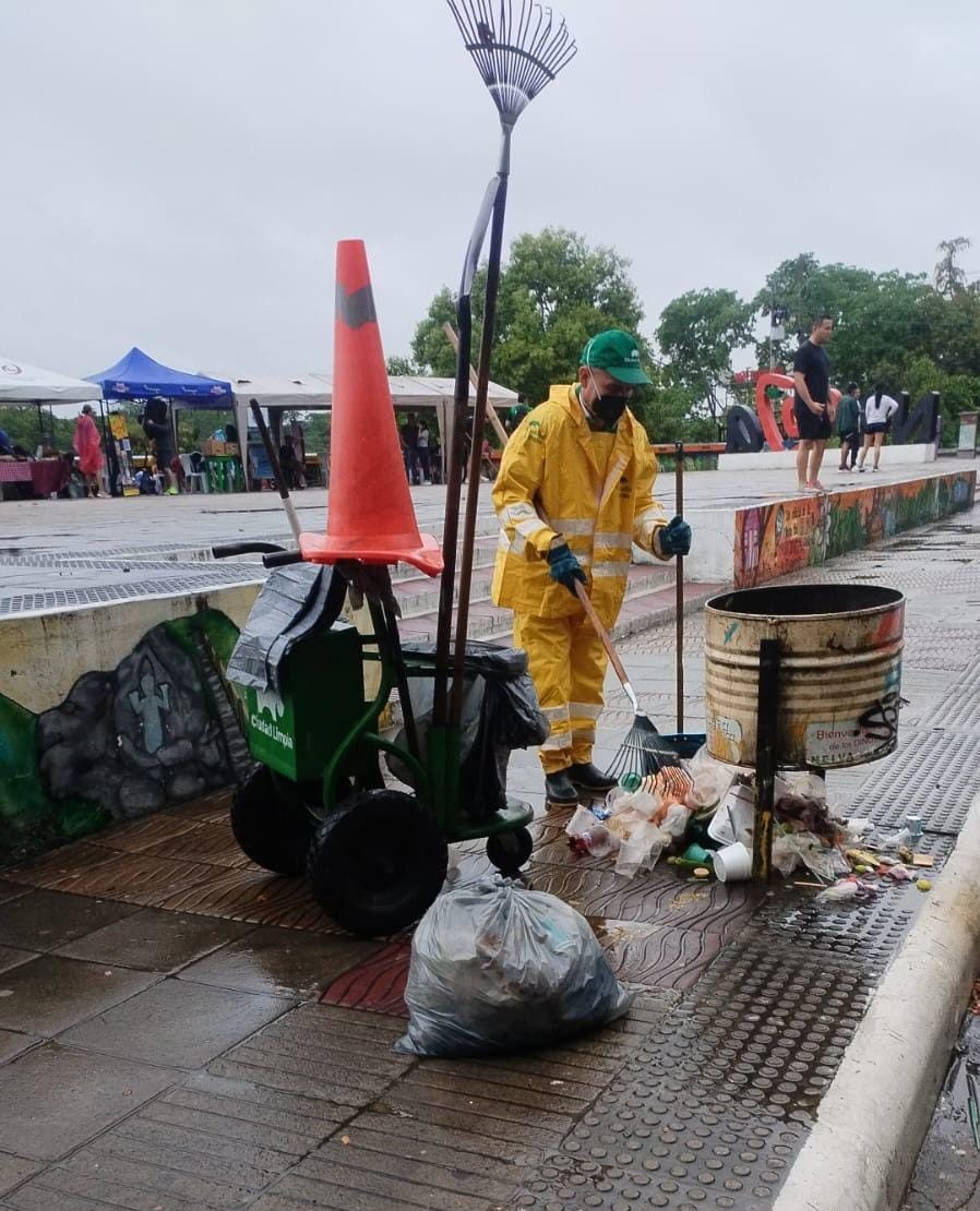 Imagen de WhatsApp 2024-11-12 a las 09.09.54_f74fee4c