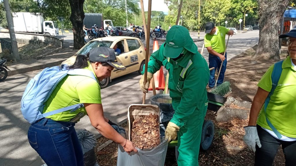 WhatsApp Image 2025-10-01 at 10.08.17 AM