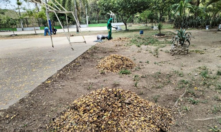 WhatsApp Image 2025-10-06 at 8.45.26 AM