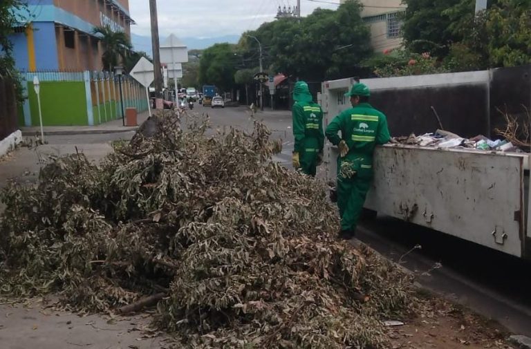 WhatsApp Image 2025-10-06 at 8.45.27 AM (3)