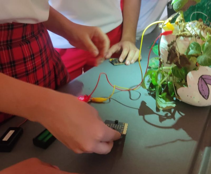 Imagen de WhatsApp 2023-10-25 a las 16.47.31_f62b1dcc