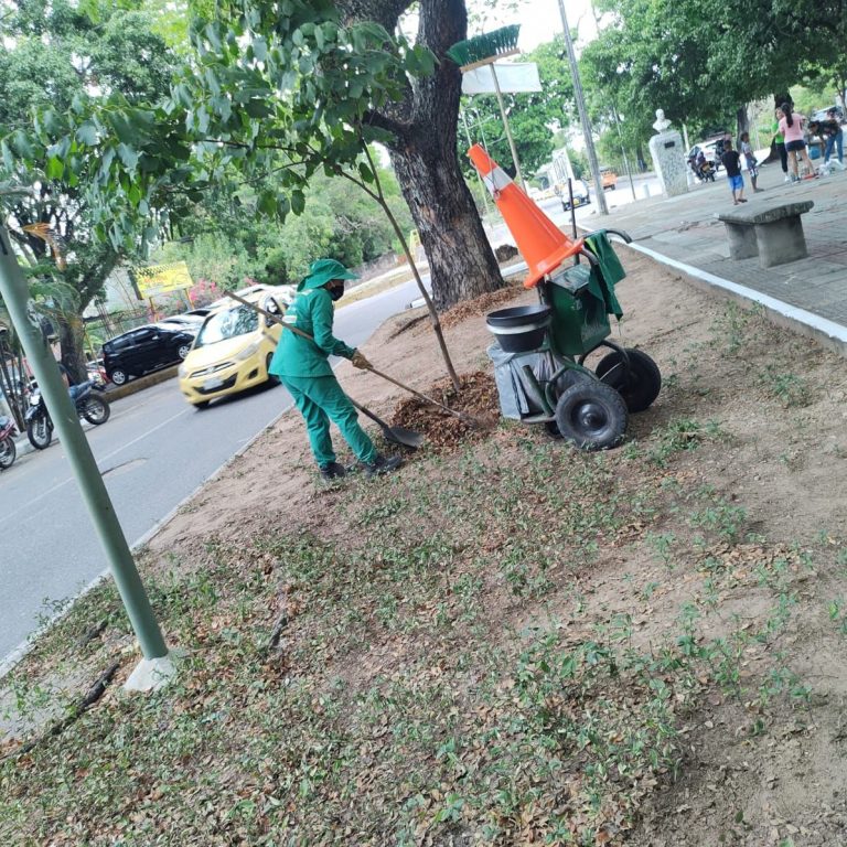 Imagen de WhatsApp 2024-02-17 a las 11.09.38_77ed67de