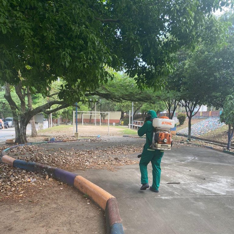 Imagen de WhatsApp 2024-03-11 a las 08.42.09_250f17bf