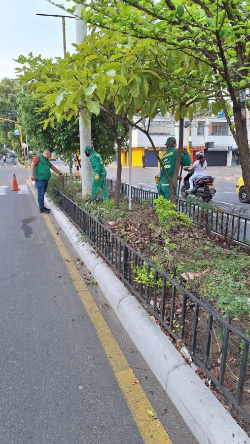 Imagen de WhatsApp 2024-04-15 a las 07.41.12_14ff0325