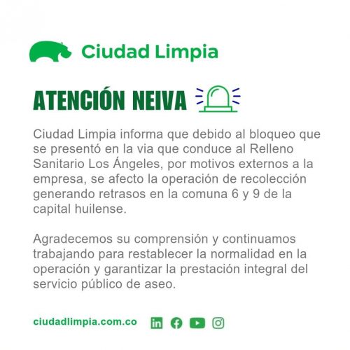 Imagen de WhatsApp 2024-11-20 a las 16.47.42_707dc3fc